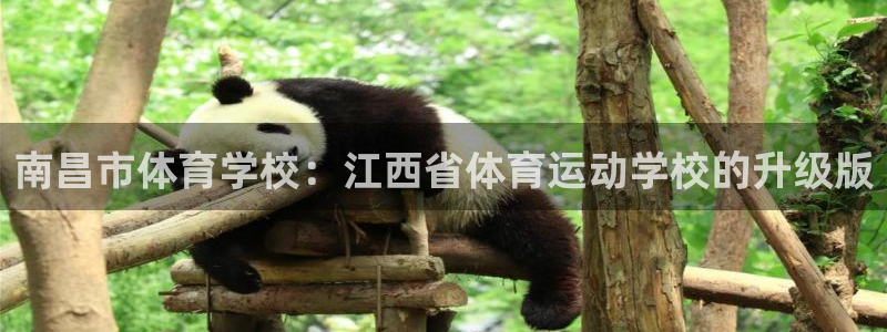 海南公海赌赌船官网下载发展怎么样:南昌市体育学校:江西省体育