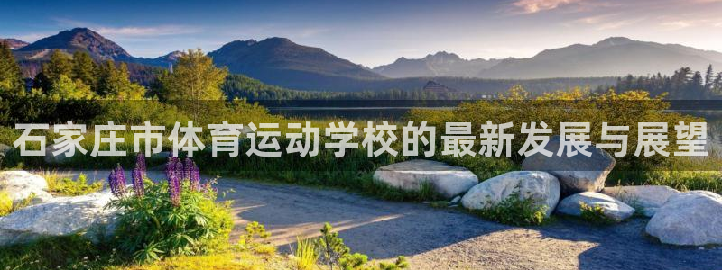 公海赌赌船官方正版app娱乐是那个系列的台子:石家庄市体育运